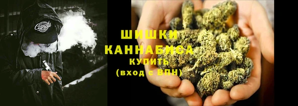 кокс Дмитриев