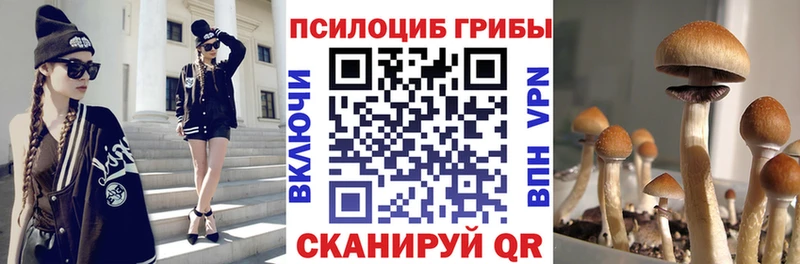 Купить закладки  Козловка  Псилоцибиновые грибы Magic Shrooms 